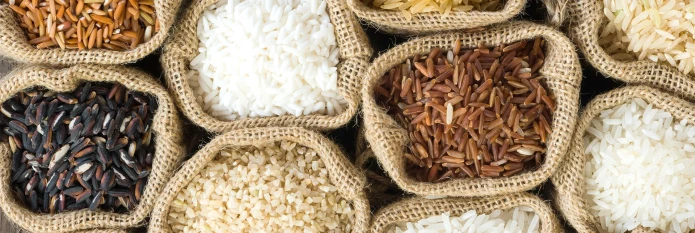 header-banner-rice-bags.webp