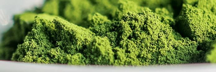 header-banner-spirulina.webp