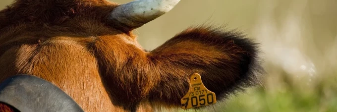 rastrea-un-alimento-desde-su-origen-hasta-la-tienda