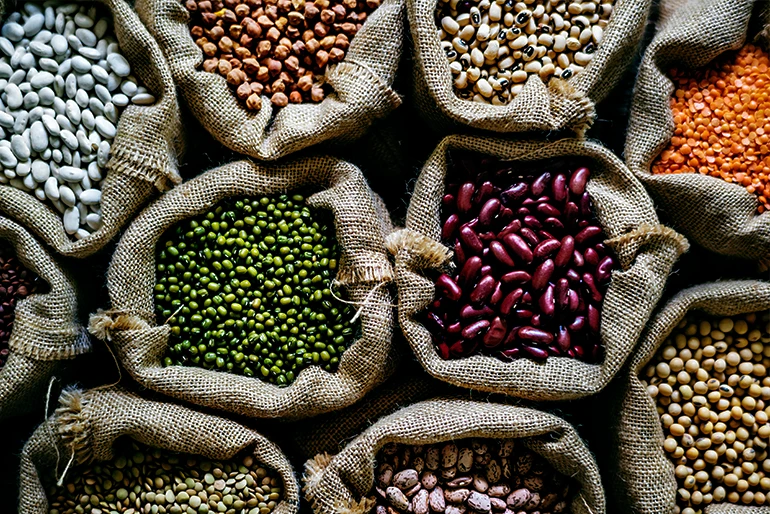 Nutzpflanzen, die dem Klimawandel trotzen