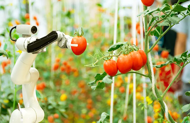 Replacing huge machines with small robots