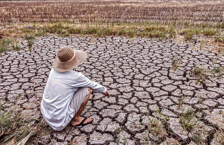 Man crouching on arid, cracked soil