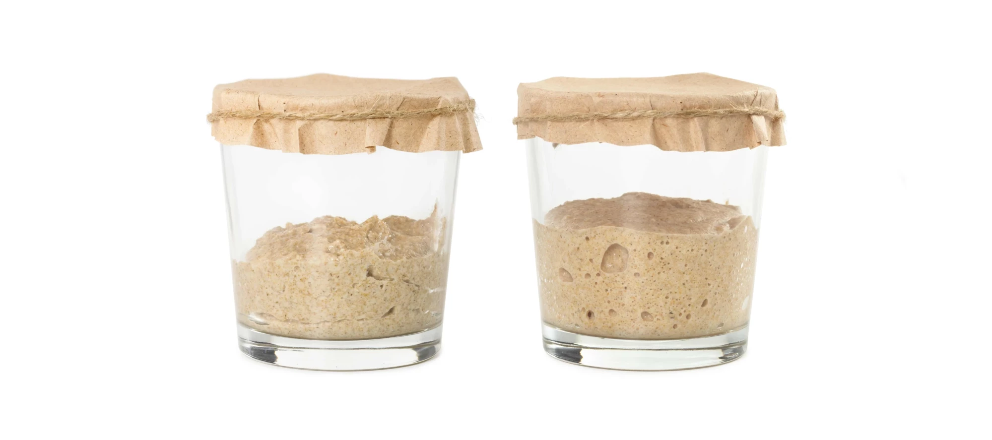 Sourdough fermentation process