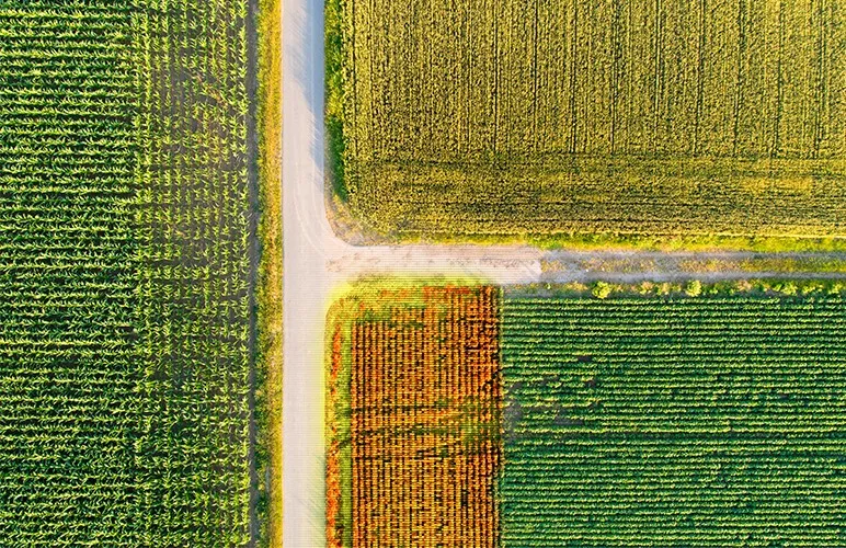 Farmers create physical maps of the types of soil across their farms