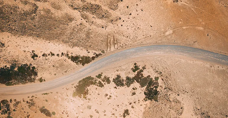 Preventing Desert Locust Plagues