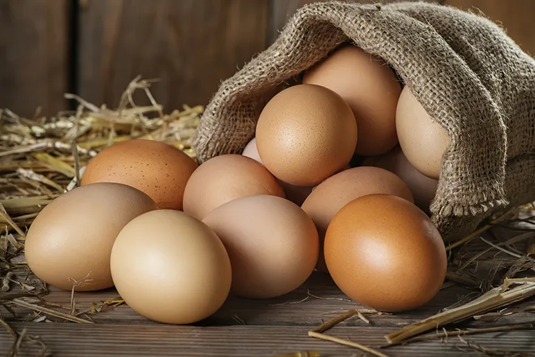 Where next for egg farming