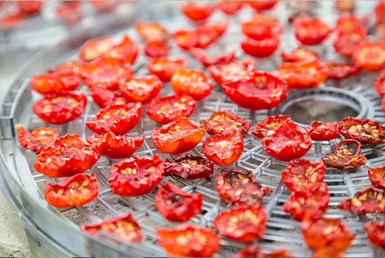 The first food dehydration machine
