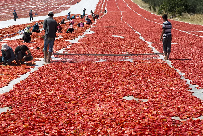 Drying food in the sun