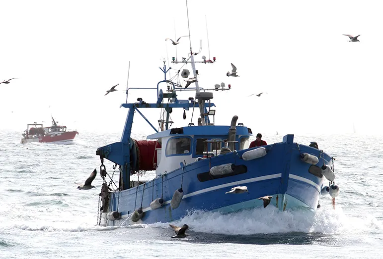 Two trawlers in the open sea surrounded by seagulls.