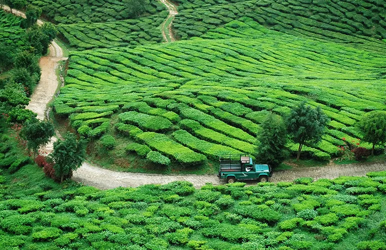 Report What’s Really Happening