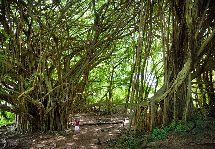  Diverse Environments