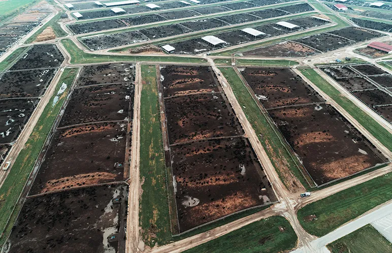 land that has been extensively cleared to make way for cattle pasture land