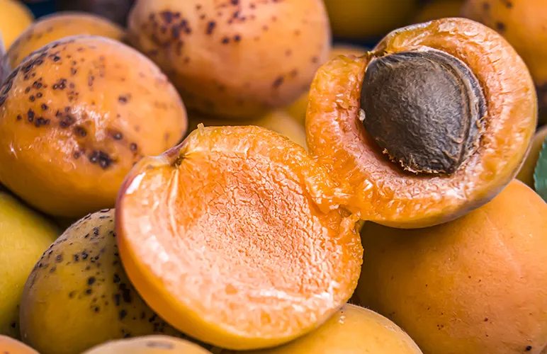 Cherry, Apricot & Peach Seeds