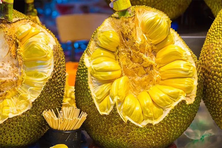 Edible  jackfruit