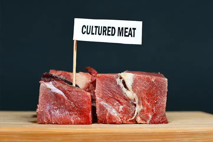 The Environmental Cost of Lab-Grown Meat