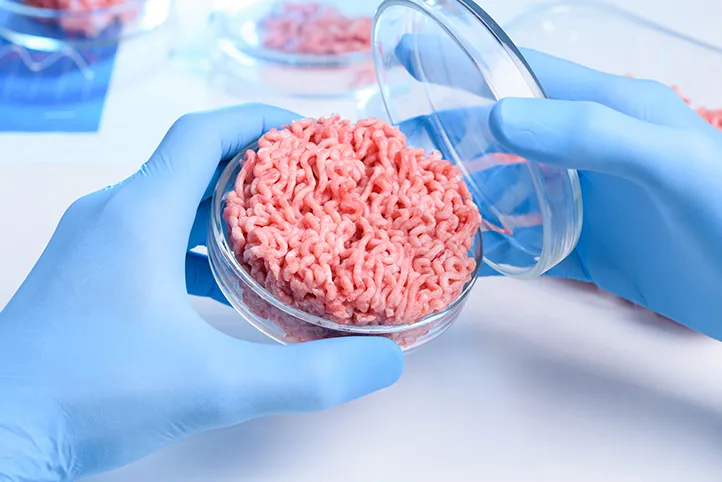 A container of raw minced meat