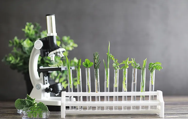 Microscope and plants