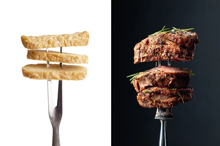 Plant Based Protein vs. Animal Protein