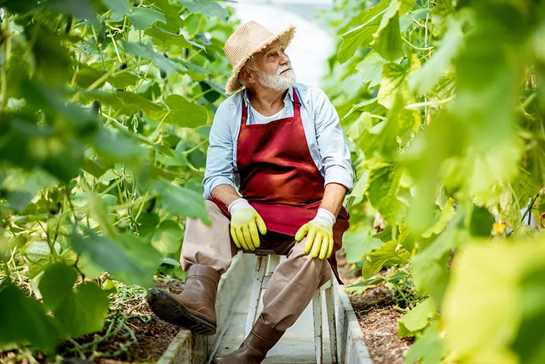 Old man in hat and apron sitting down in vineyard