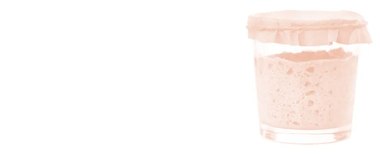 Sourdough Fermentation