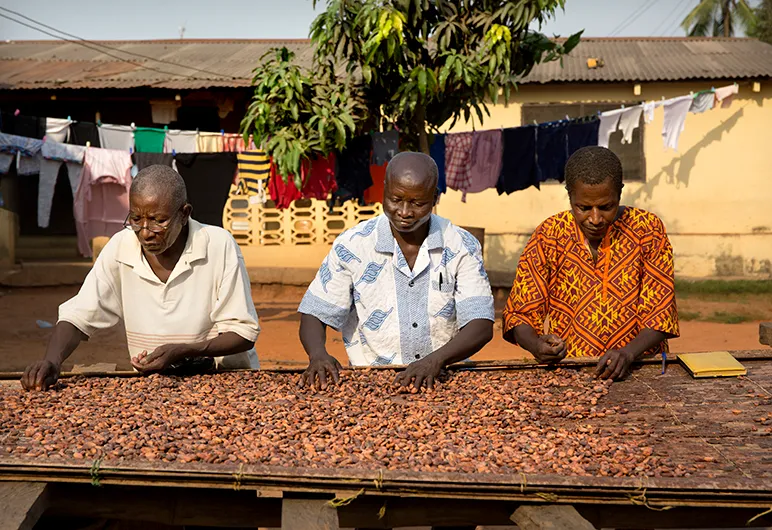 cocoa farmers 