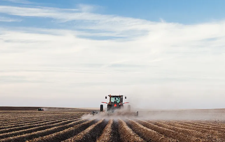 Growing better flavour with artificial intelligence