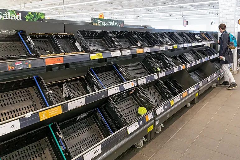 Disrupted Food Chains