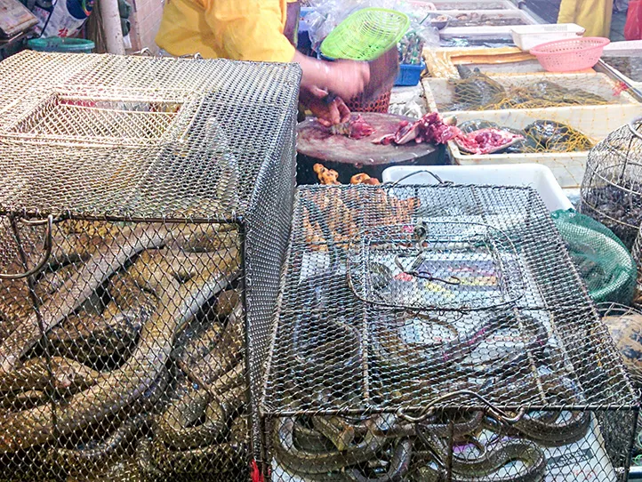Man cutting up eels at fish market