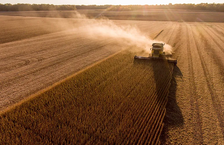 Why Circular Farming Methods Are Often Overlooked In Larger Farms