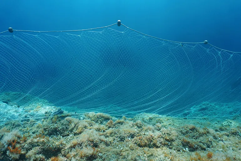Fishing net
