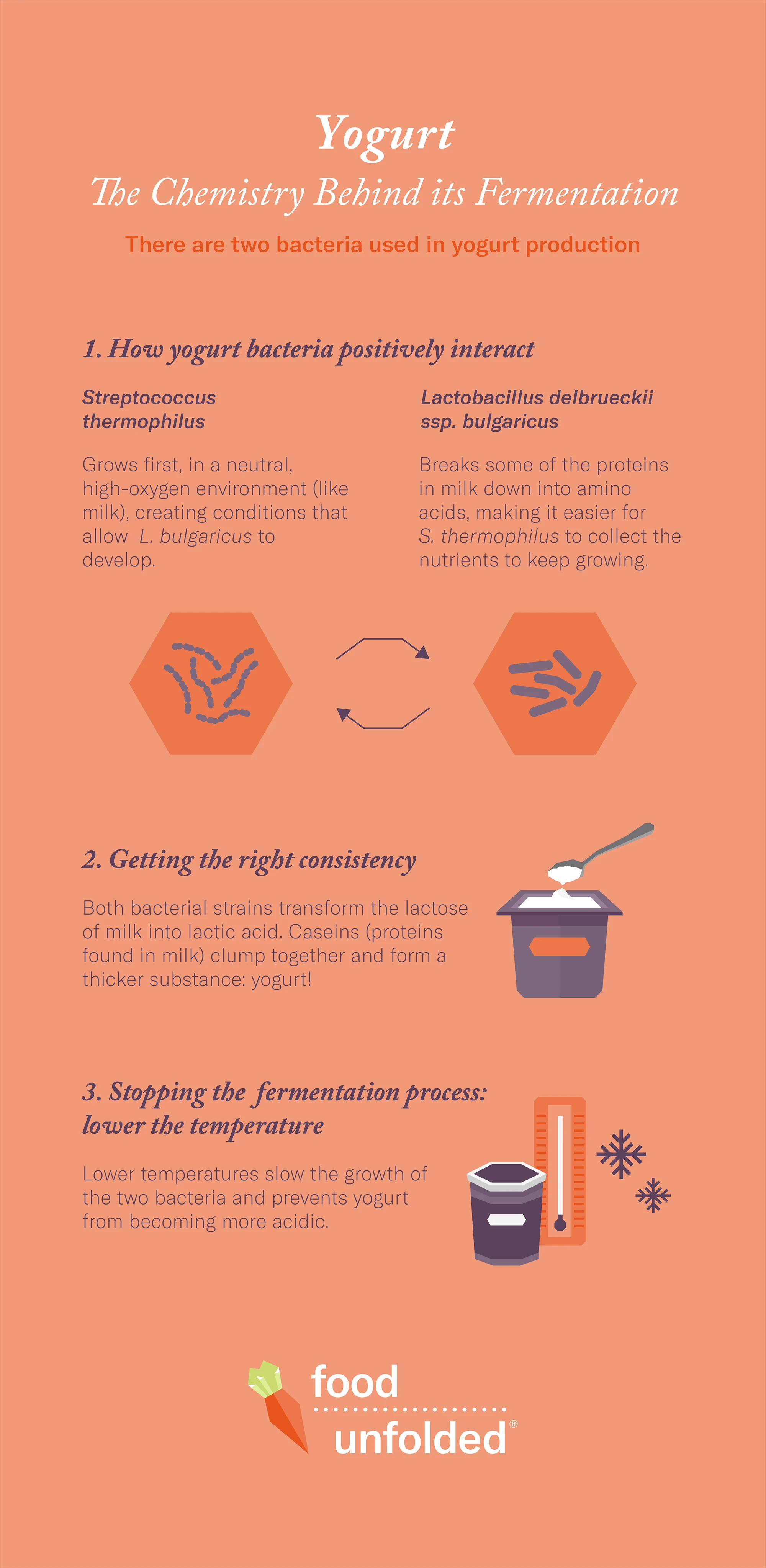 yoghurt fermentation info graphic