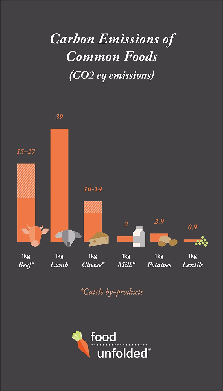 Carbon Emissions for common foods