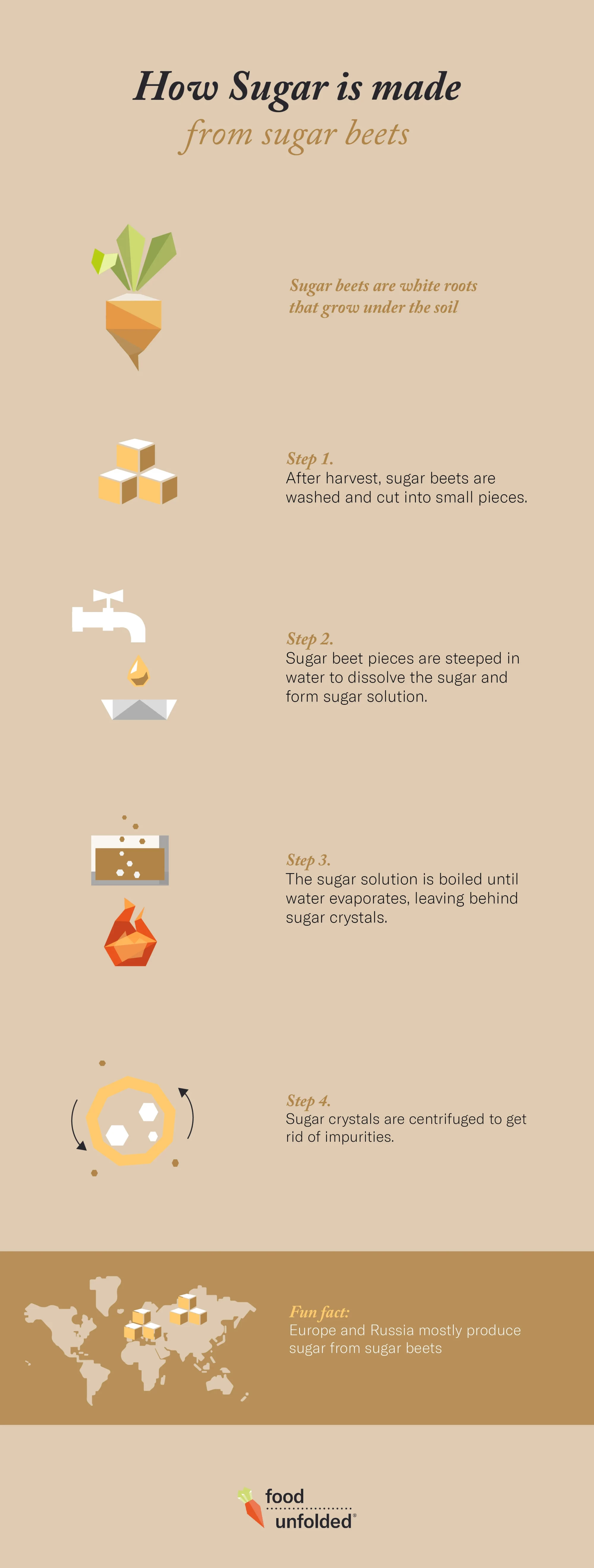 How sugar is made from sugar beets