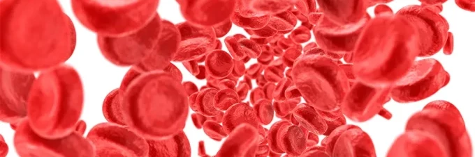 4-tips-to-improve-iron-absorption