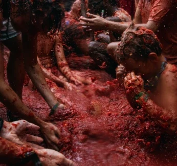 La_Tomatina_thumb.webp