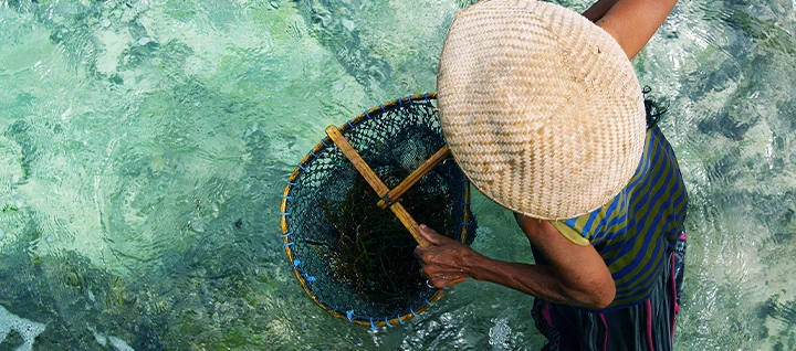 Low Trophic Aquaculture