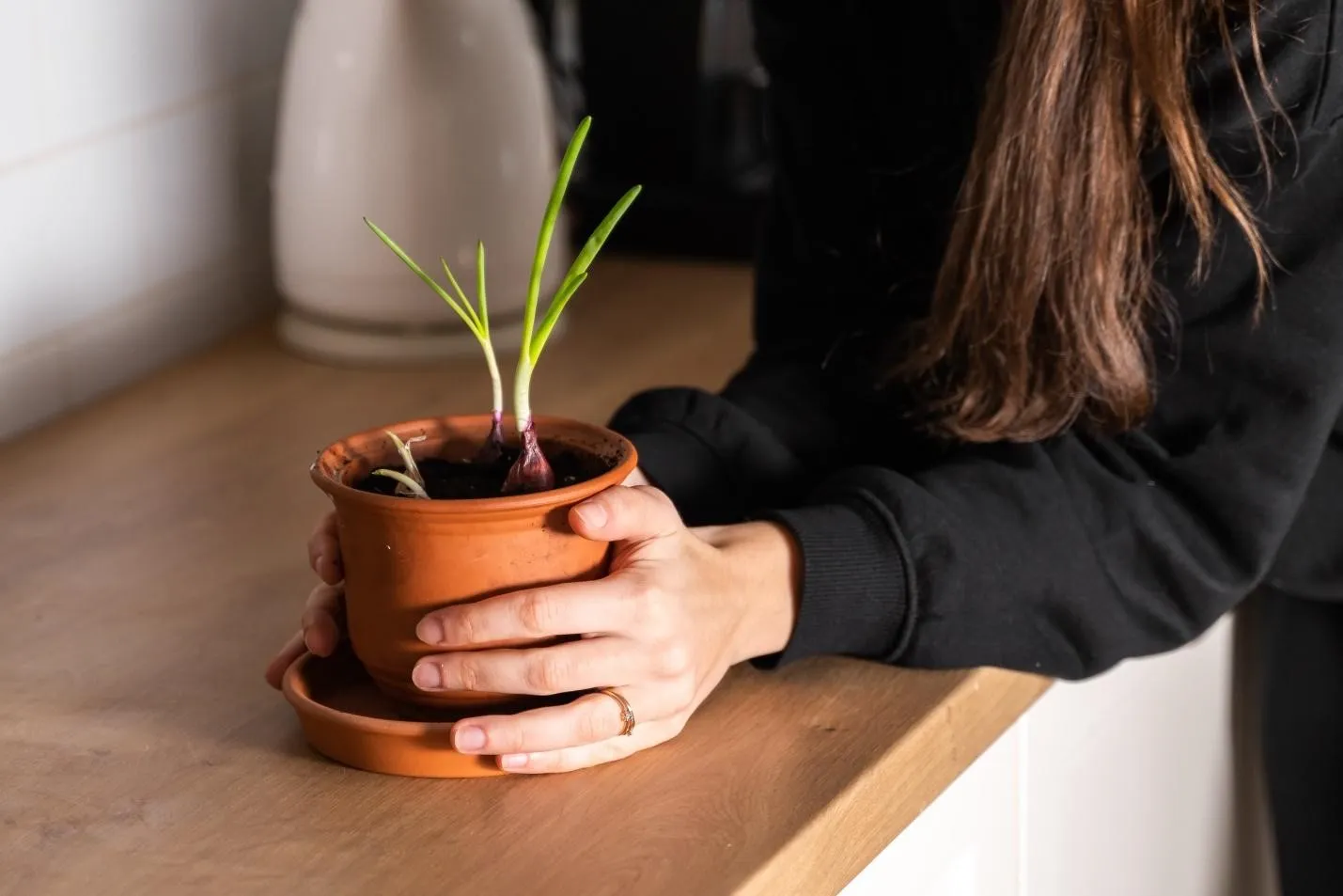 Agricultura Urbana | Ciudades m&aacute;s Sostenibles
