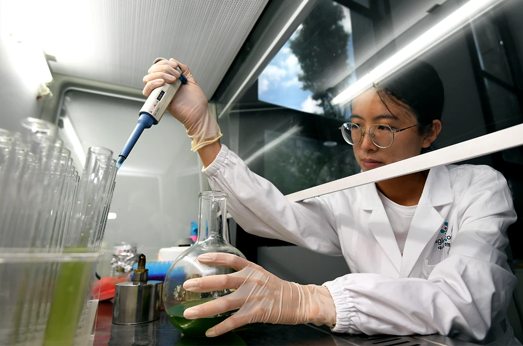 Mikroalgen | 4 interessante Wege Algen zu essen