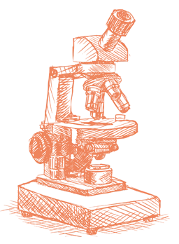 Illustration of microscope