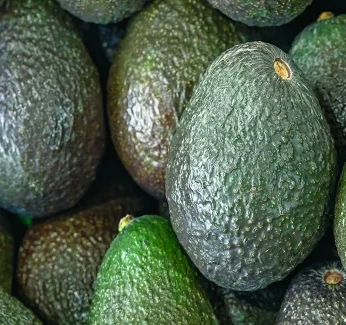 mobile-banner-avocado-cost.webp