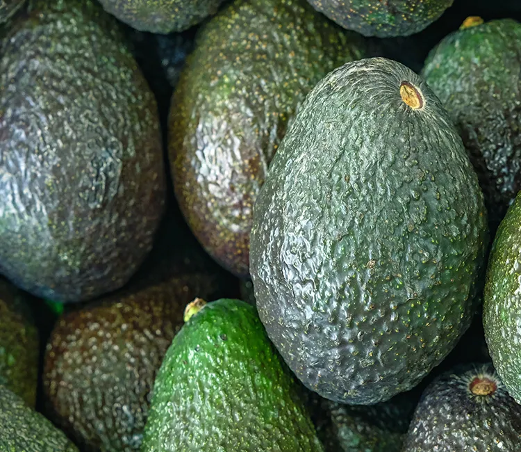 Avocados: Die wahren Kosten der Produktion