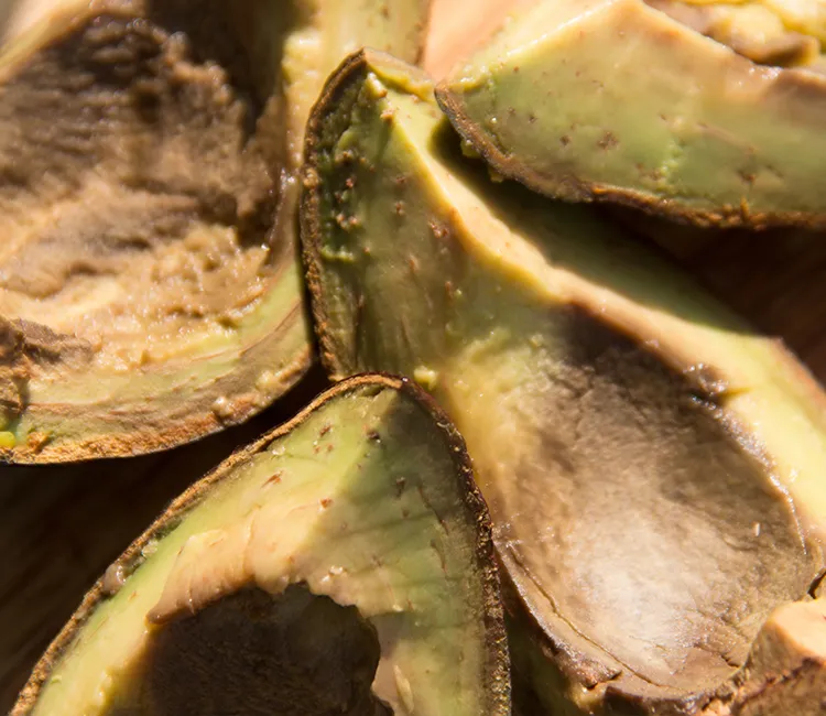 Der Lebenszyklus von Avocados und Lebensmittelverschwendung