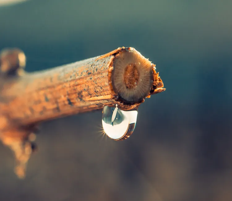 6 Tipps, um den Wasser-Fußabdruck deiner Ernährung zu verkleinern