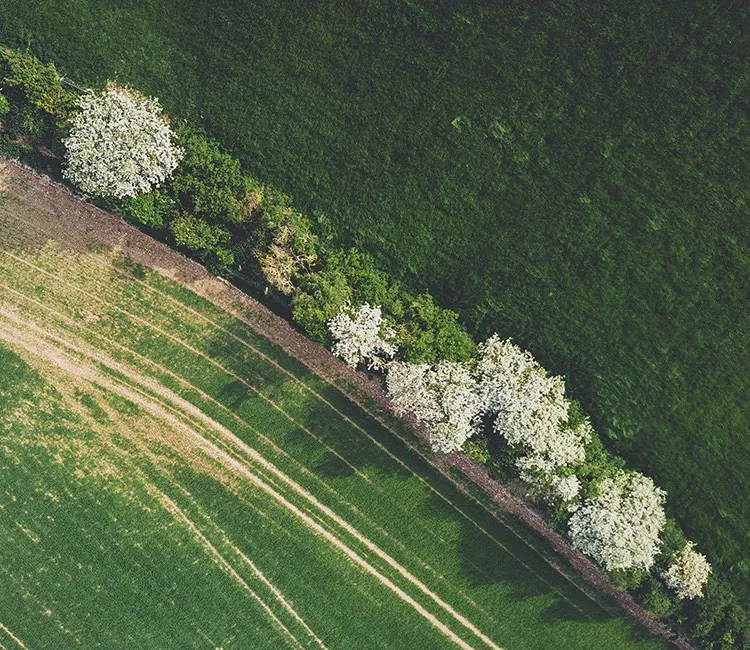 Der EU Green Deal: 5 Wege, wie die neue Strategie unser Lebensmittelsystem beeinflussen könnte
