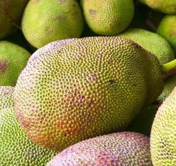 mobile-banner-jackfruitgrown.webp