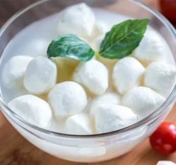 mobile-image-mozzarella.webp