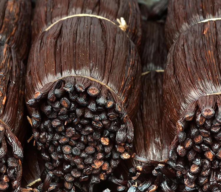 Wie wird Vanille angebaut?