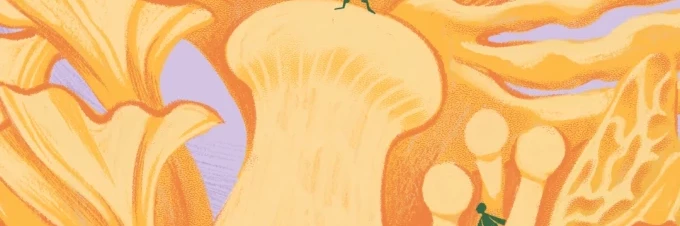 mycophobia-and-the-lost-knowledge-of-the-fungi-kingdom