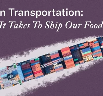 Ocean_Transportation-_How_Container_Shipping_Works_For_Food.webp