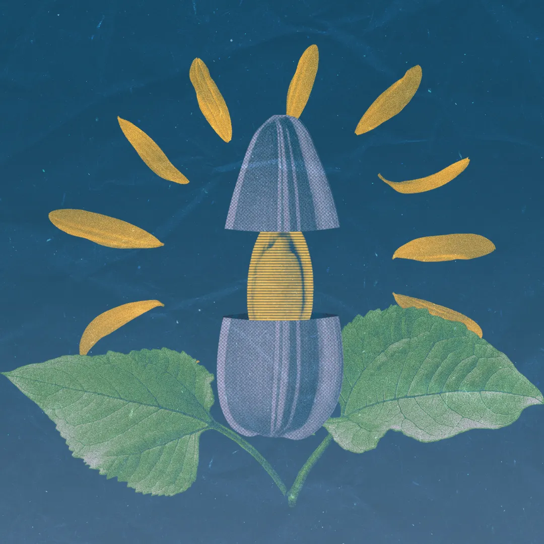 Kulturpflanzenvielfalt vergr&ouml;&szlig;ern: Alte Sorten und wilde Verwandte